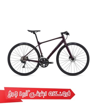 دوچرخه-جاینت-فست-رود-اس-ال-1-2021-Giant-FASTROAD-SL-1