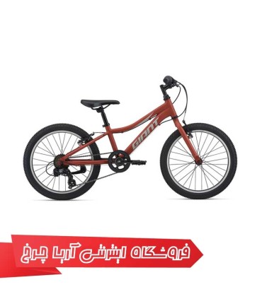 دوچرخه-کوهستان-جاینت-2021-GIANT-XTC-Jr-20-Lite