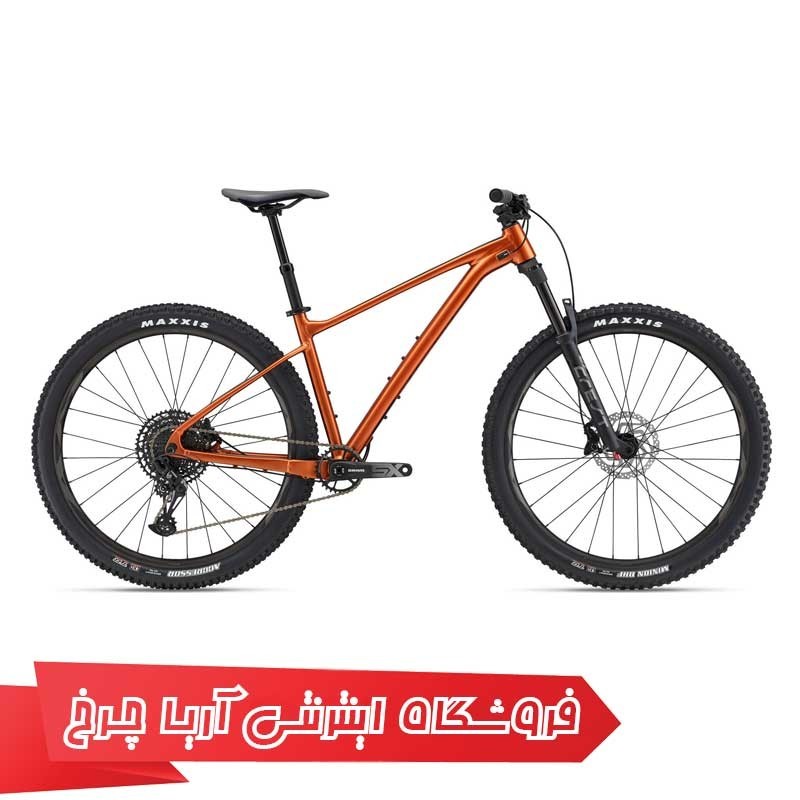 دوچرخه جاینت 29 کوهستان مدل فدوم 1 | GIANT 29 Fathom 1 (2022)