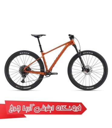 دوچرخه جاینت 29 کوهستان مدل فدوم 1 | GIANT 29 Fathom 1 (2022)