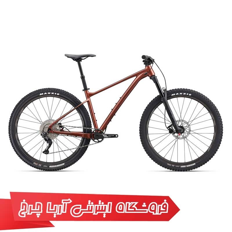 دوچرخه کوهستان جاینت مدل فدوم 2 سایز 29 | GIANT Fathom 29 2 (2022)