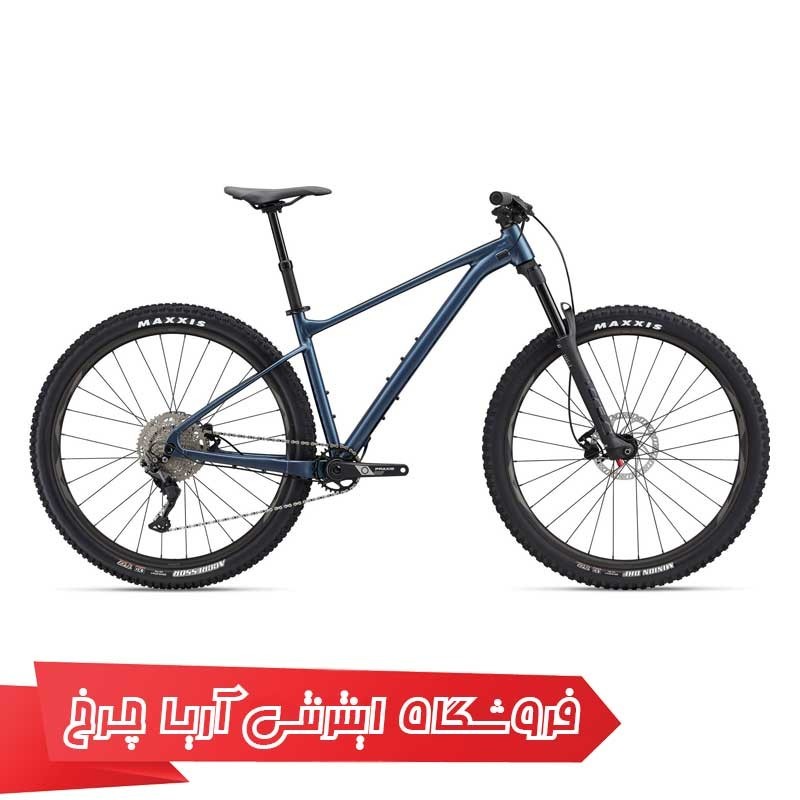 دوچرخه کوهستان جاینت مدل فدوم 2 سایز 29 | GIANT Fathom 29 2 (2022)