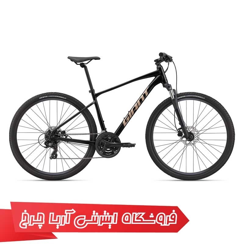 دوچرخه جاینت شهری روام دیسک 4 | GIANT Roam Disc 4 (2022)