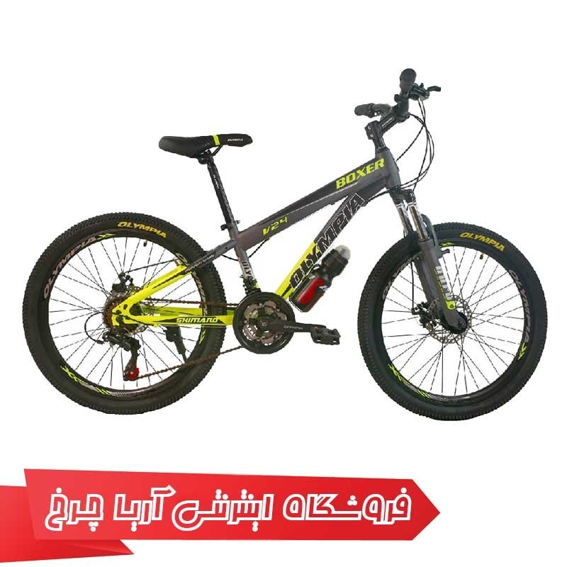 دوچرخه المپیا مدل Olympia boxer 2 disk