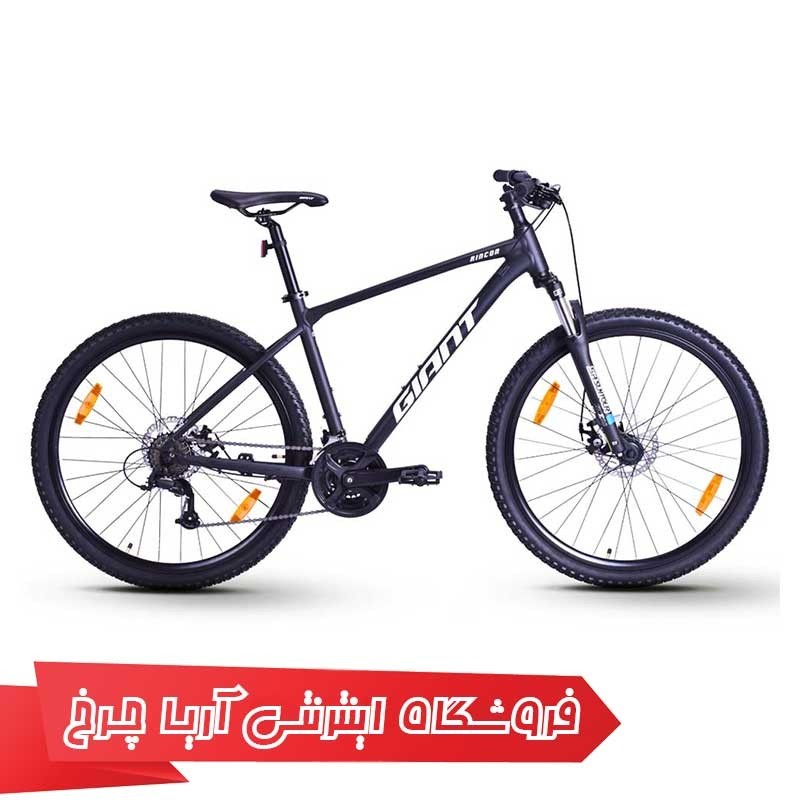 مشخصات، خرید و قیمت دوچرخه کوهستان جاینت 29 رینکون 2 | (2022) RINCON 2 29