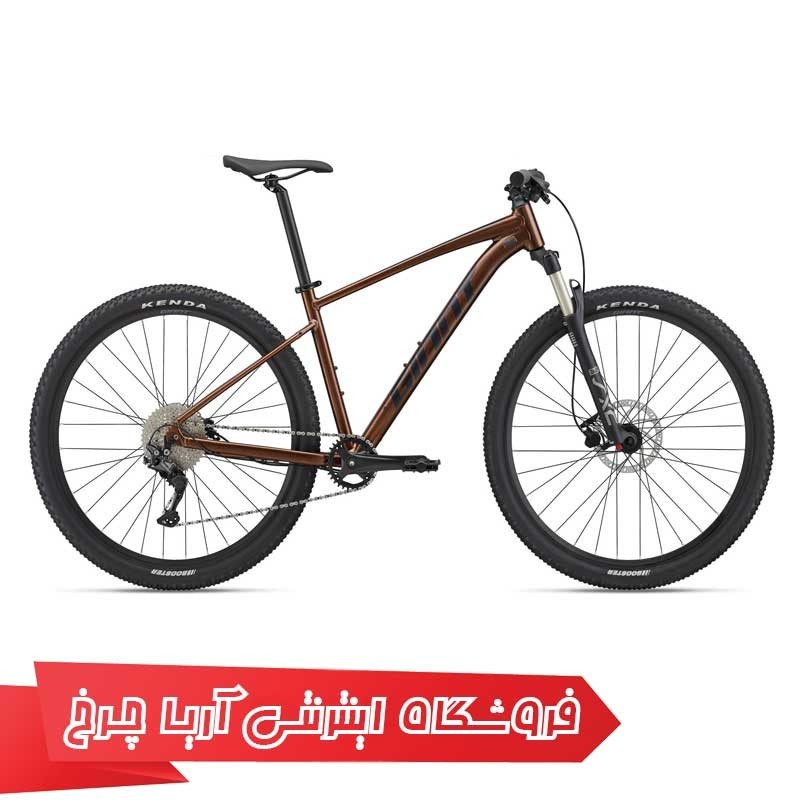 دوچرخه جاینت تالون 1 سایز 29 | GIANT Talon 29 1 (2022)