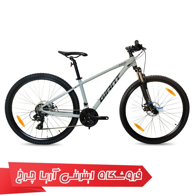 مشخصات، خرید و قیمت دوچرخه کوهستان جاینت 29 رینکون 2 | (2022) RINCON 2 29