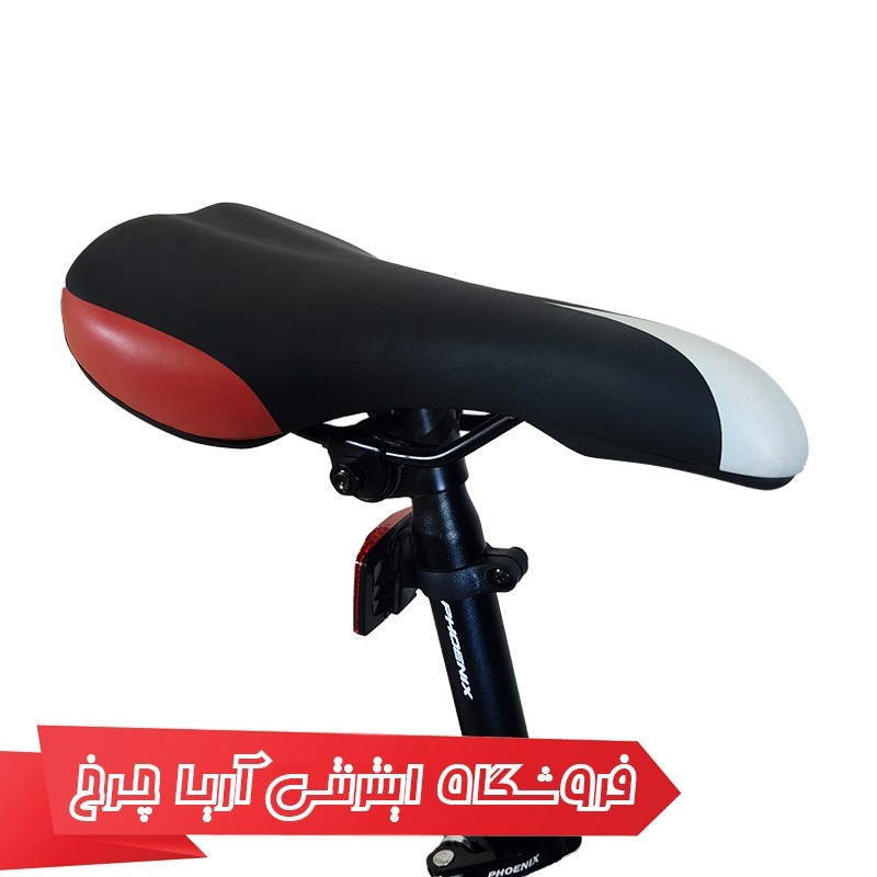 دوچرخه 24 فونیکس اپل | Phoenix 24 Apple