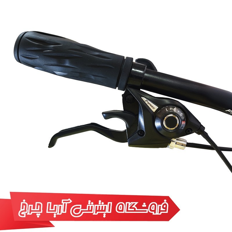 دوچرخه 24 فونیکس اپل | Phoenix 24 Apple