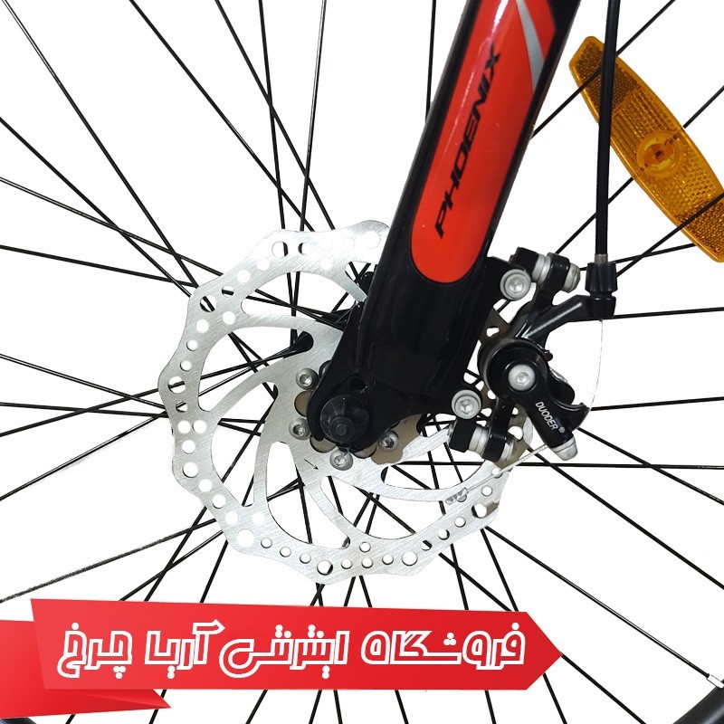 دوچرخه 24 فونیکس اپل | Phoenix 24 Apple