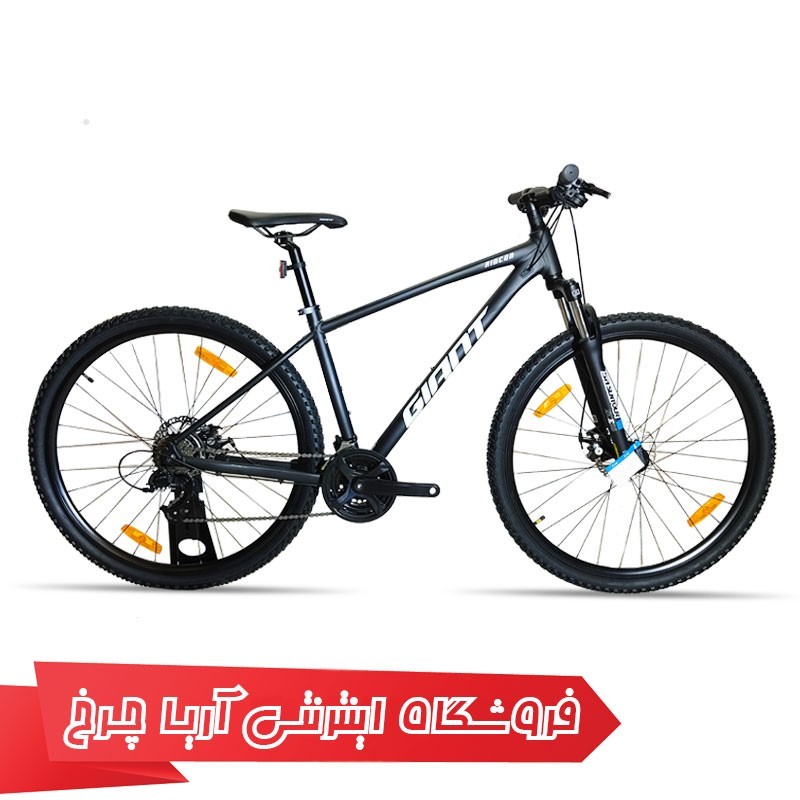 دوچرخه جاینت رینکون 2 سایز 29 مایکروشیفت | Giant 29 Rincon 2 (2022)
