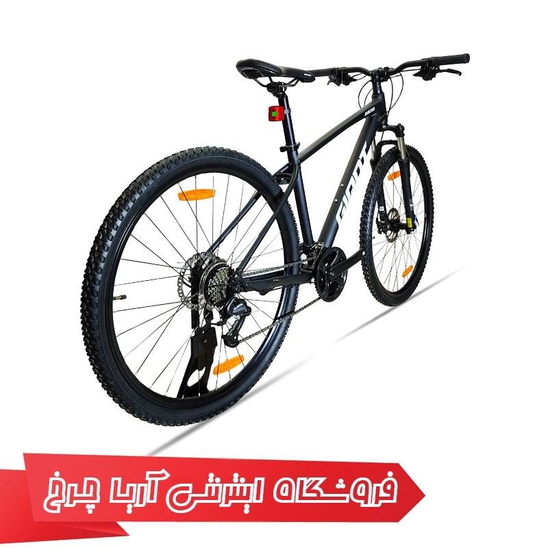 دوچرخه جاینت رینکون 2 سایز 29 مایکروشیفت | Giant 29 Rincon 2 (2022)