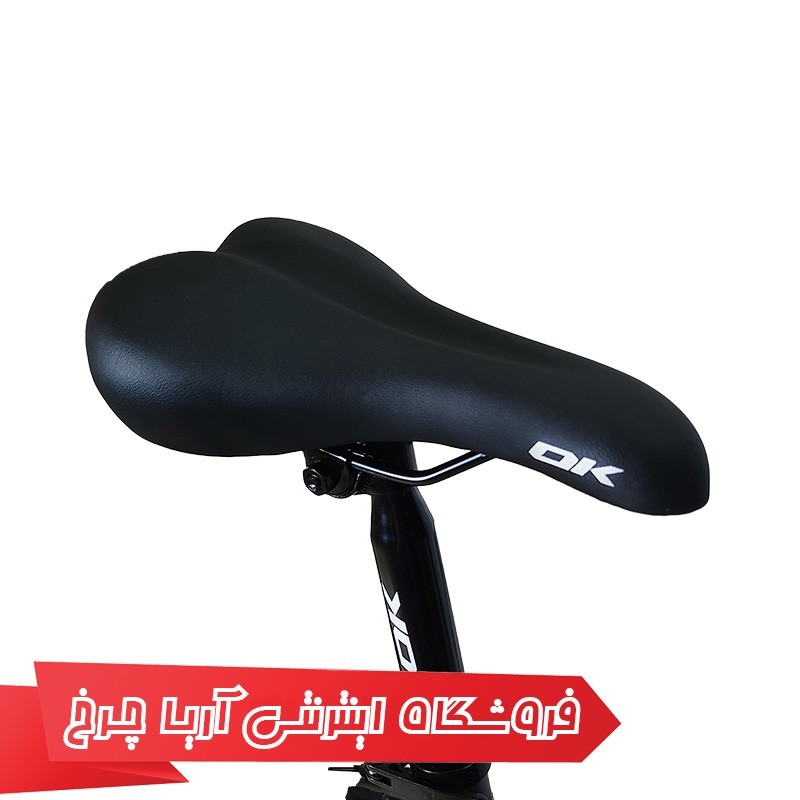 مشخصات، خرید و قیمت دوچرخه کوهستان اوکی سایز 26 مدل OK 040-D
