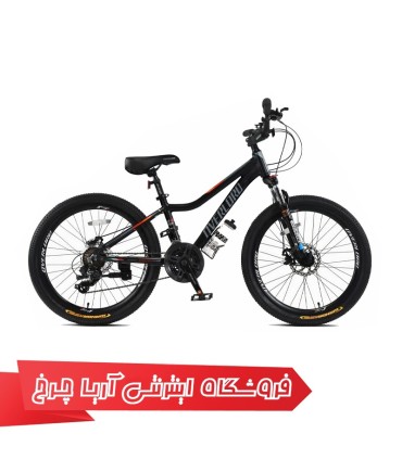 مشخصات، خرید و قیمت دوچرخه 24 اورلرد مدل Overlord O101-D