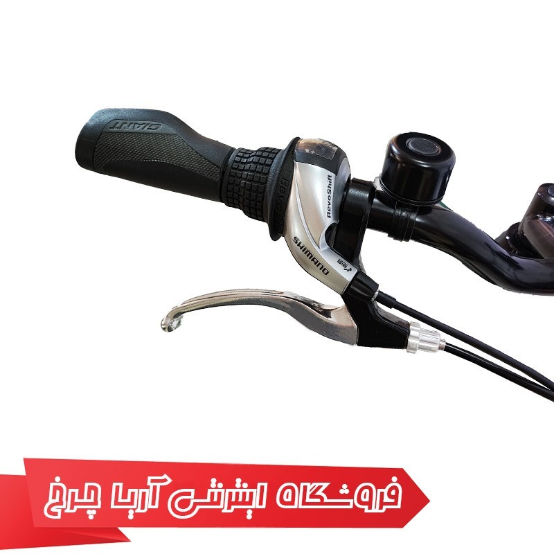 مشخصات، خرید و قیمت دوچرخه شهری بانوان لیو فلوریش 4|Liv Flourish 4 (2022)