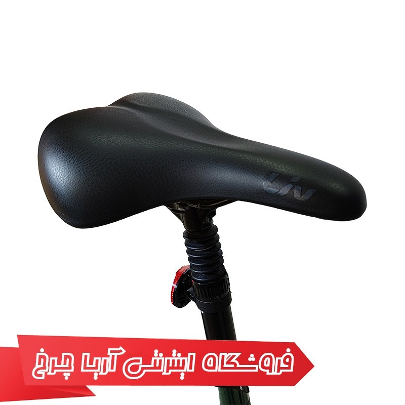 مشخصات، خرید و قیمت دوچرخه شهری بانوان لیو فلوریش 4|Liv Flourish 4 (2022)