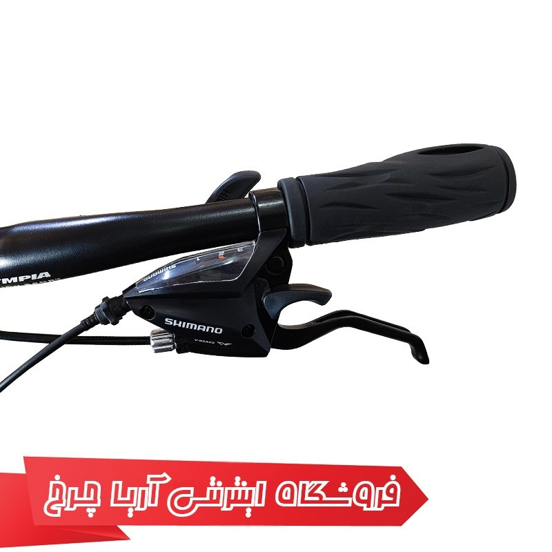 خرید-و-قیمت-دوچرخه-المپیا-24-Olympia-24-NEW-JELLY-2-Disc