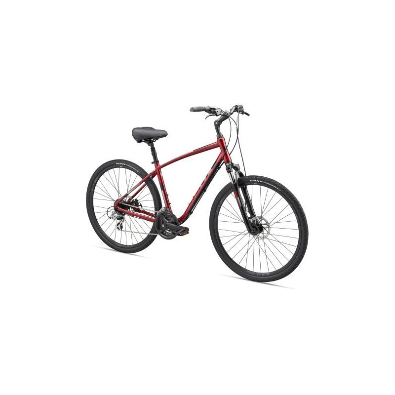 دوجرخه جاینت مدل سایپرس دی ایکس - Giant 2019 cypress DX