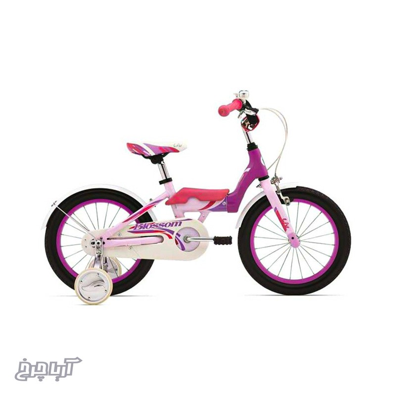 خرید و قیمت دوچرخه دخترانه جاینت مدل بلسِم 16 - (2015) Giant Blessom 16