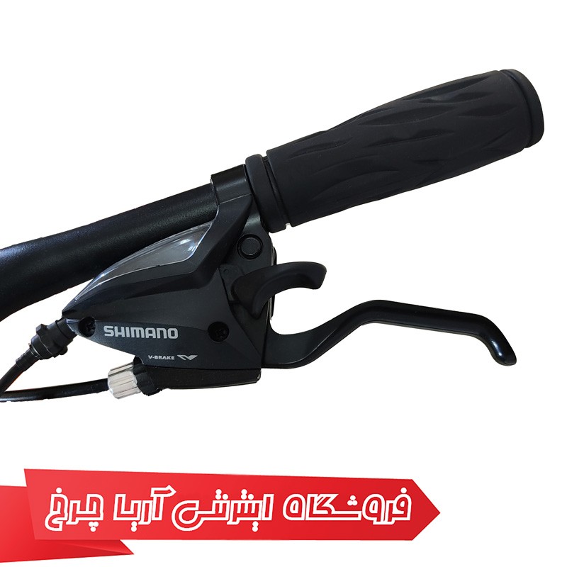 مشخصات و قیمت دوچرخه کوهستان حرفه ای سایز 29 برند سان اسپید مدل Sunspeed ST-780