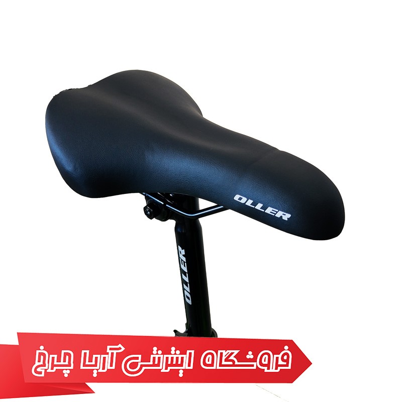 قیمت دوچرخه حرفه ای سایز 24 برند اولر مدل Oller Visit - D