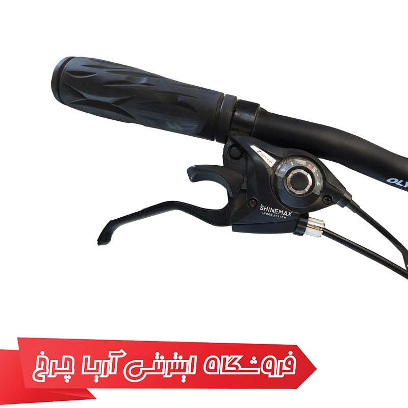 قیمت دوچرخه 20 دنده ای ارزان قیمت المپیا مدل Spider 01