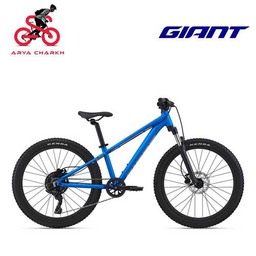 دوچرخه-کودک-جاینت-مدل-اس-تی-پی-24-اف-اس-2021-Giant-STP-24-FS