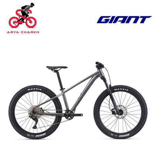 دوچرخه-کوهستان-جاینت-مدل-اس-تی-پی-26-2021-Giant-STP-26