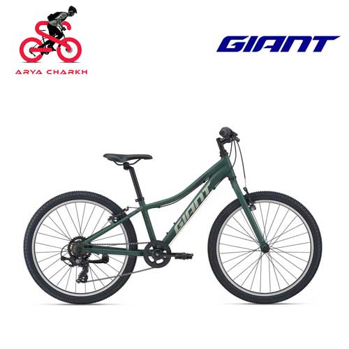 دوچرخه-کودک-جاینت-Giant-XTC-JR-Lite-24-2021