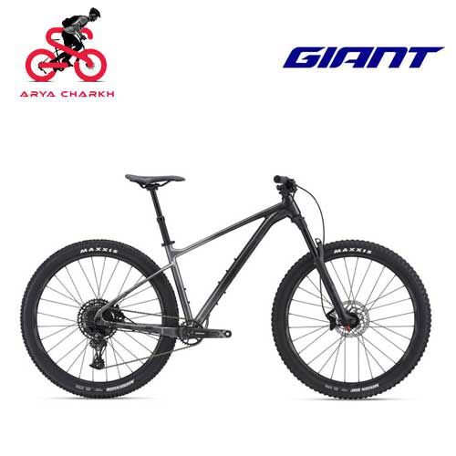 دوچرخه-کوهستان-جاینت-29-مدل-فدوم-1-2021-Giant-Fathom-29-1