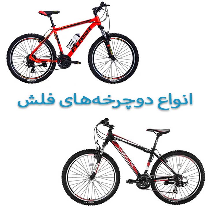 معرفی شرکت دوچرخه فلش