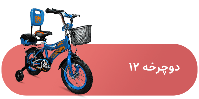 شاخه دوچرخه 12