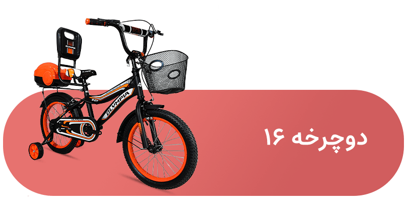 شاخه دوچرخه  16