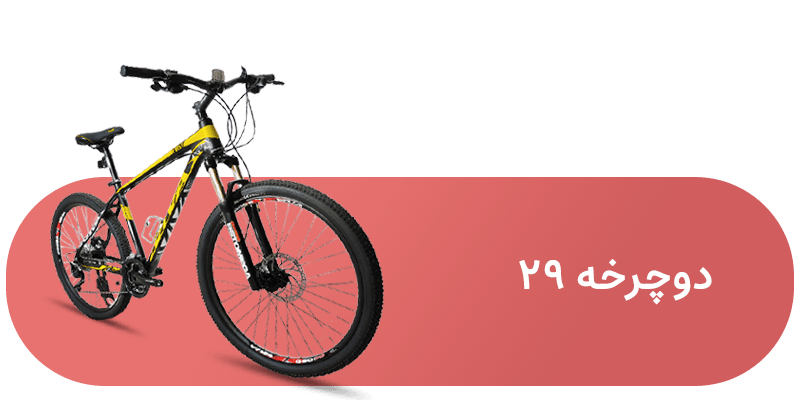 شاخه دوچرخه  29