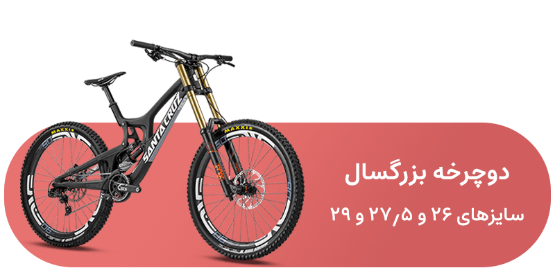 شاخه دوچرخه بزرگسال