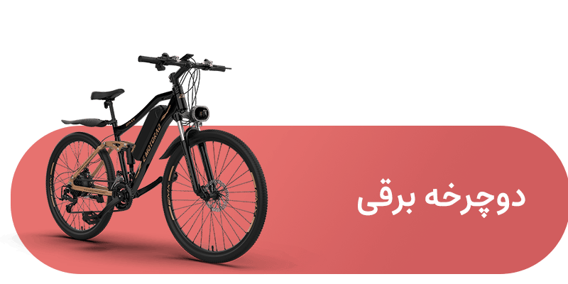 شاخه دوچرخه برقی