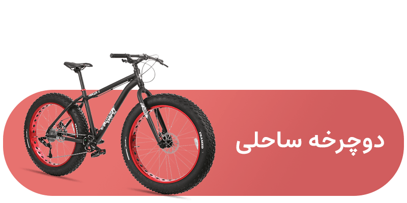 شاخه دوچرخه ساحلی