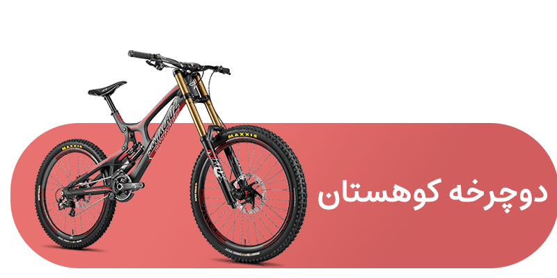 شاخه دوچرخه کوهستان