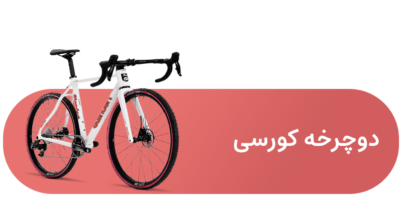 شاخه دوچرخه کورسی